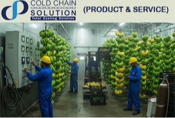 Ripening Chamber, COLD CHAIN SOLUTION