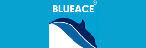BLUEACE LIMITED