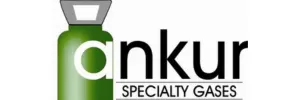 ANKUR AGENCIES