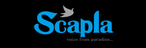SCAPLA ENGINEERING PVT LTD